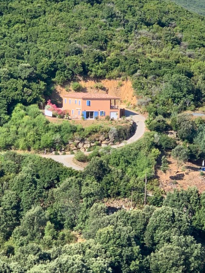 Villa Confina Villanova Екстер'єр фото
